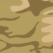 Military