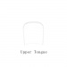 Upper Tongue